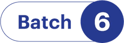 Batch